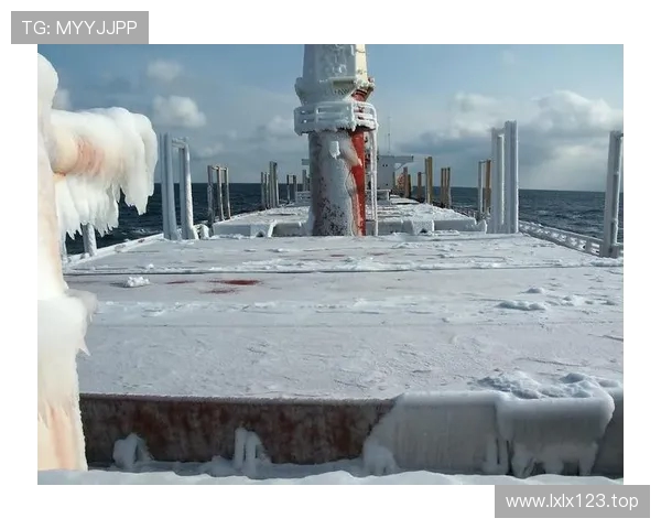 《遭球迷围剿马雷斯卡现身诺丁汉主场陷逃不掉的观赛》